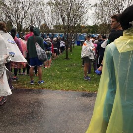 while you are waiting